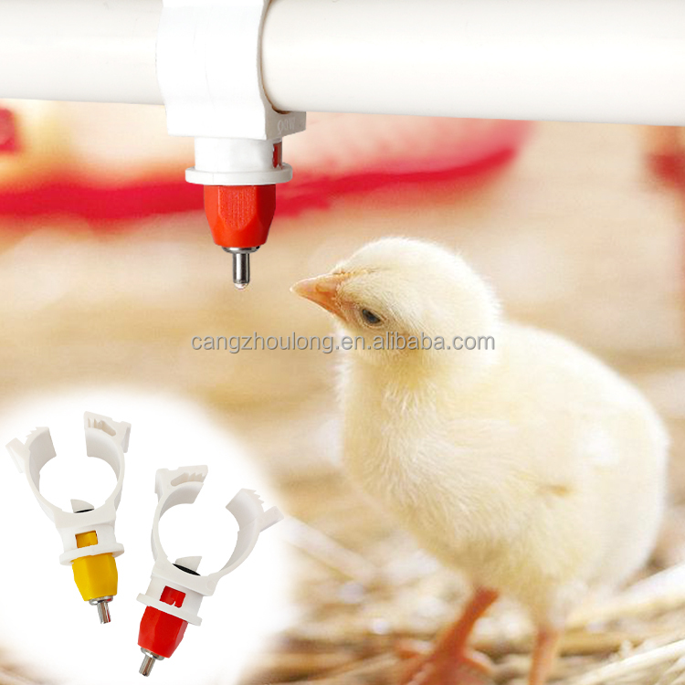 Chicken Nipple Drinker - YYW LM44 인기 판매 농장용 플라스틱