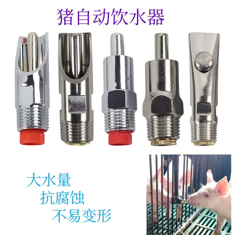 Chicken Nipple Drinker - 10개 고품질 스테인리스 스틸 자동 돼지