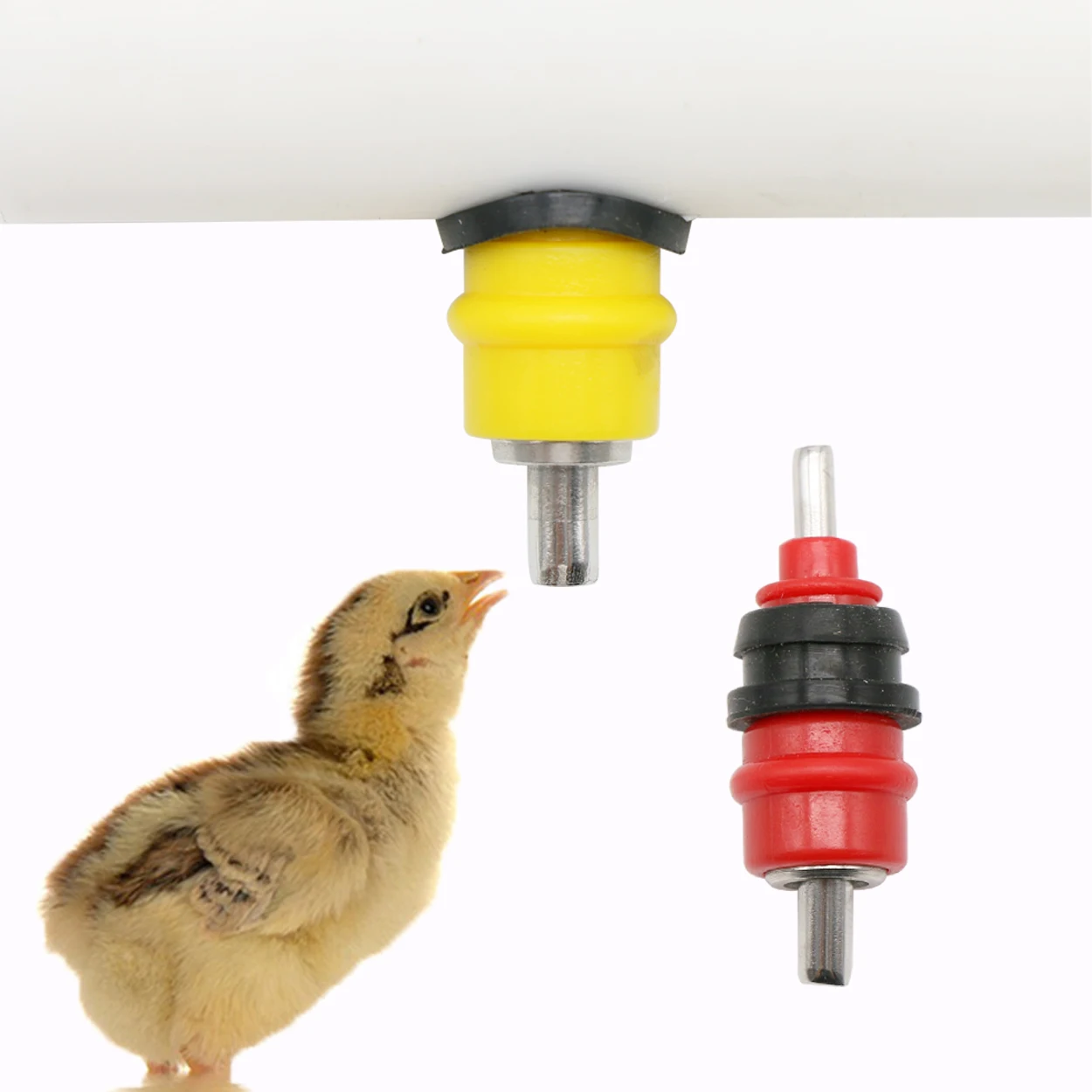 Chicken Nipple Drinker - 메추라기 비둘기 새 물주기, 닭 물주기,