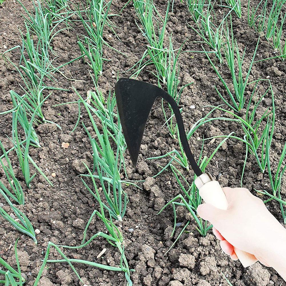 농기구 삼각형 줄괭이괭이 가정용 농업용 제초괭이 식물  - Farming Agriculture Tools 리뷰 및 가격
