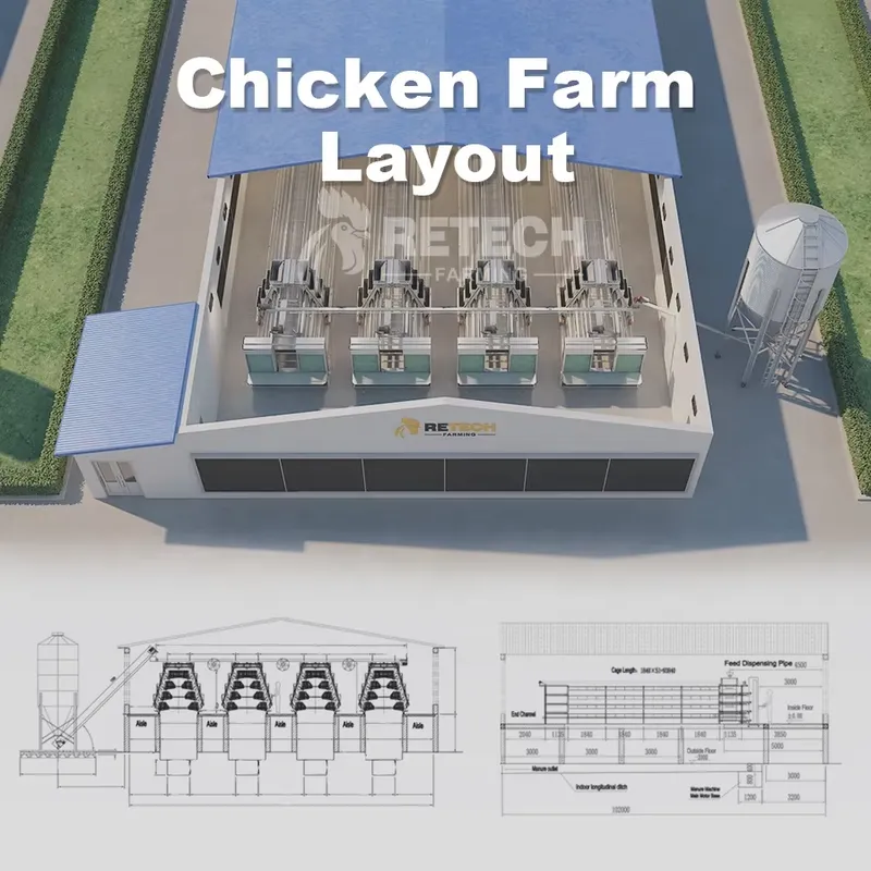 자동 계사 케이지 A형 용융아연도금강철 리테크 농업용  - Farming Africa 리뷰 및 가격