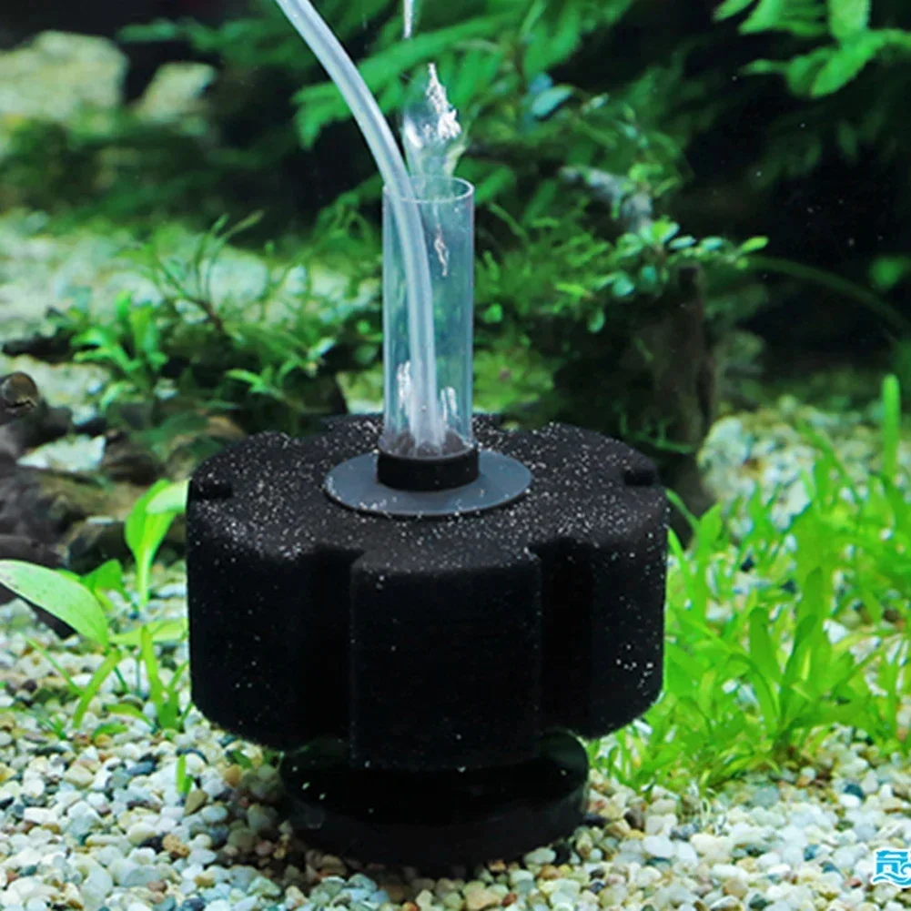 어항 필터 스펀지, 어항 에어 펌프 스키머, 생화학 스 - Aquaculture Aerator Pump 리뷰 및 가격