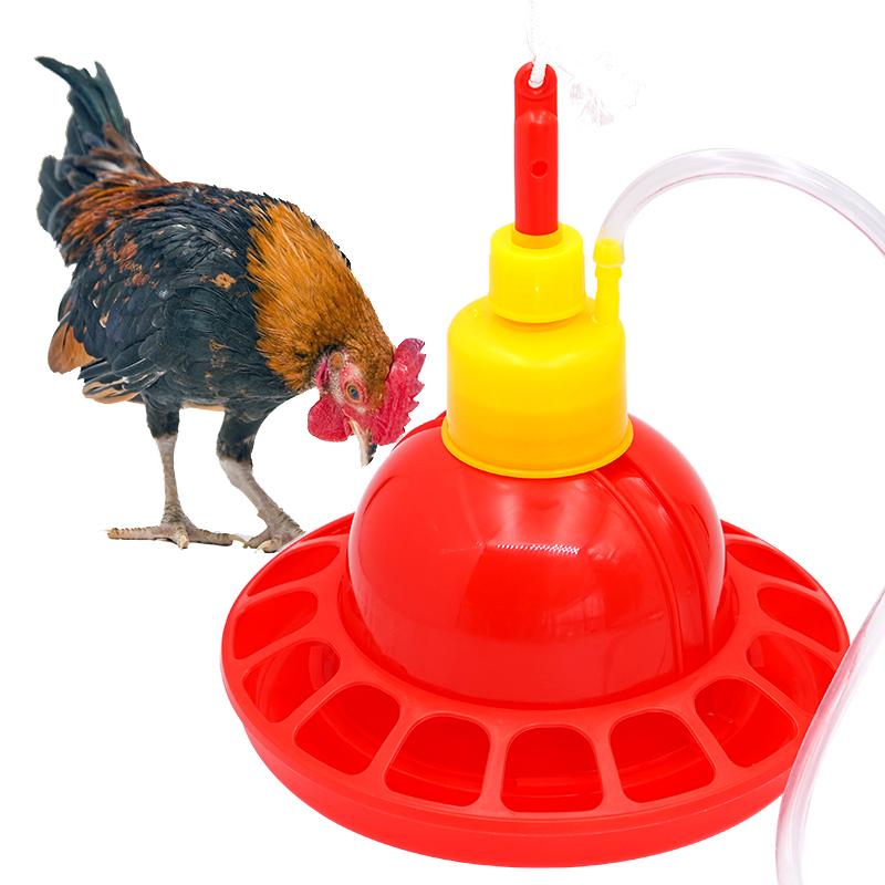 1 세트 치킨 오리 거위 브로일러 술꾼 닭장 사육 워터 - Chicken Nipple Drinker 리뷰 및 가격